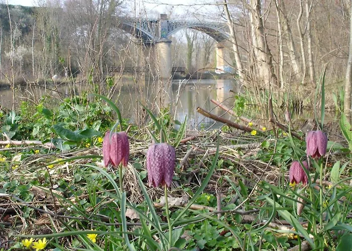 Сasa de vacaciones La Maison Bleue